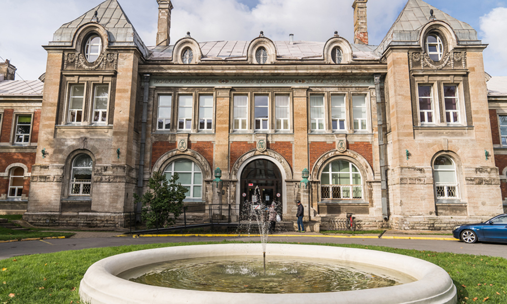 Narvahaigla Narvahaigla